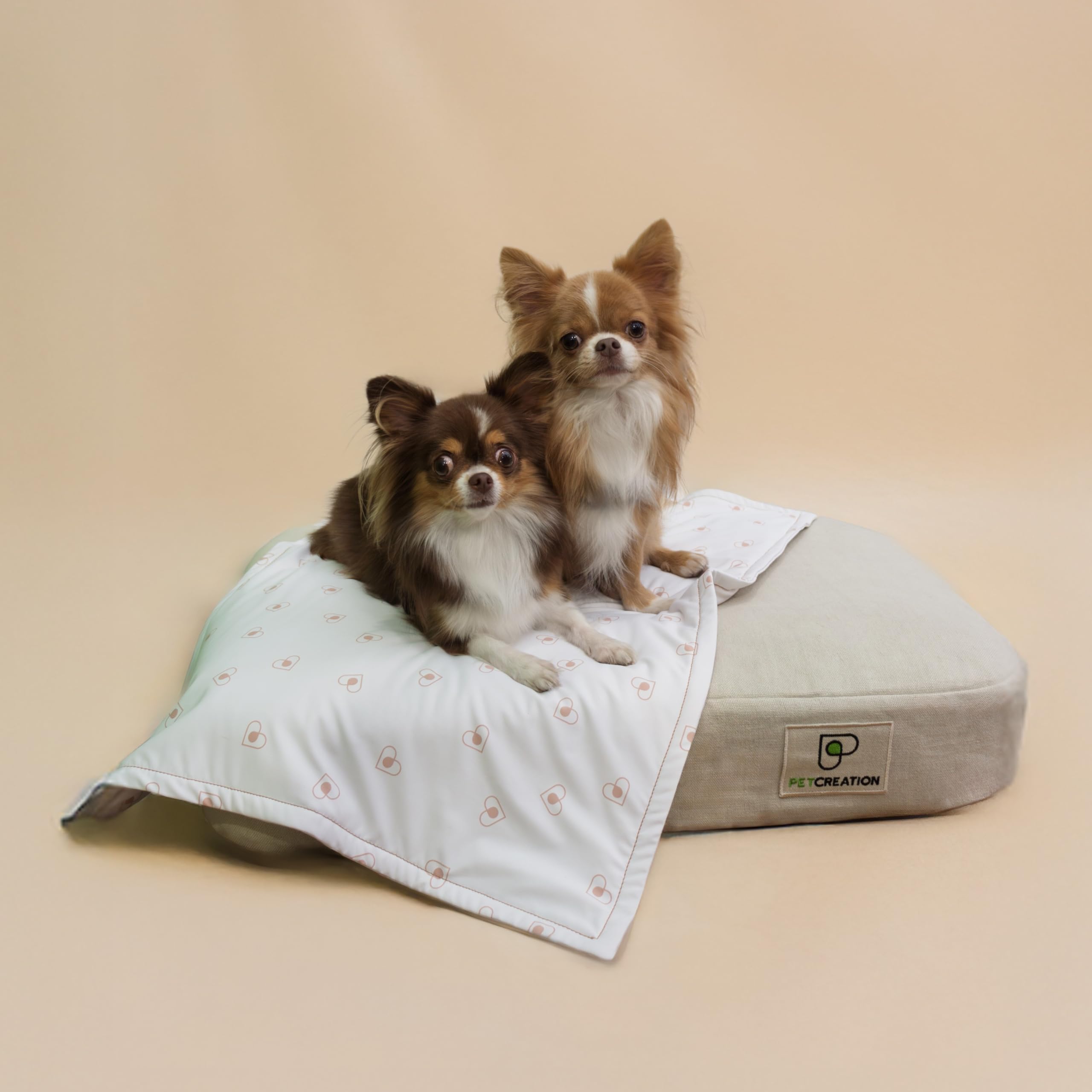 Cuccia per Cani in Memory Foam con Rivestimento in Lino e Fodera Silver Coolmax® – Comfort, Igiene e Stabilità Cuscino Ortopedico per Cani Antibatterica e Fondo Antiscivolo (Avorio, L 90x63 cm)
