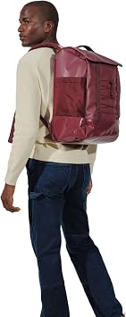 Baboon to the Moon 25L Utility Backpack – Travel, Work, Gym Daypack, Large bag for Women & Men, Lightweight, Durable Back Pack (Black Cherry)