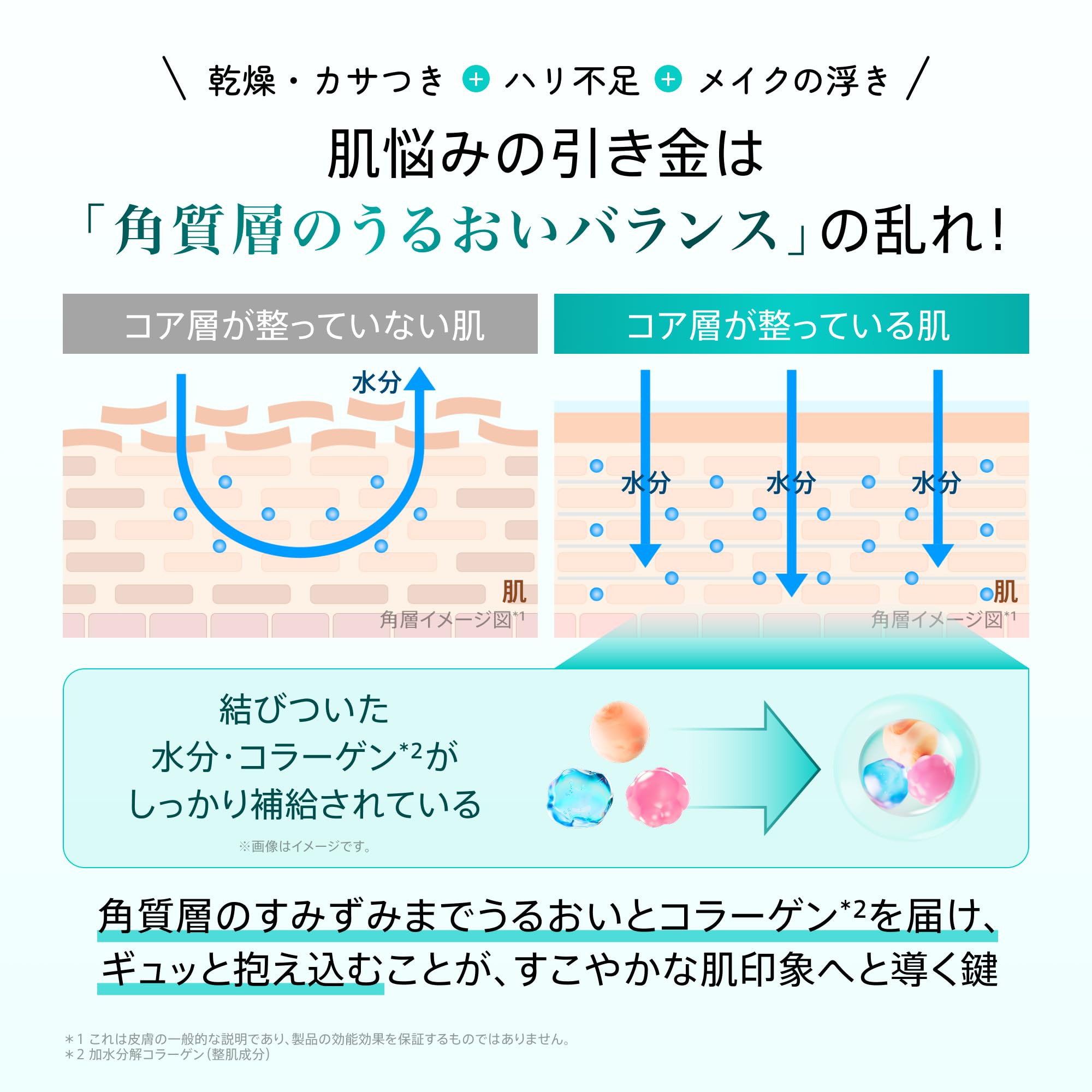 Amazon.co.jp: ANUA(アヌア)PDRN ヒアルロン酸カプセル100 セラム 1ml