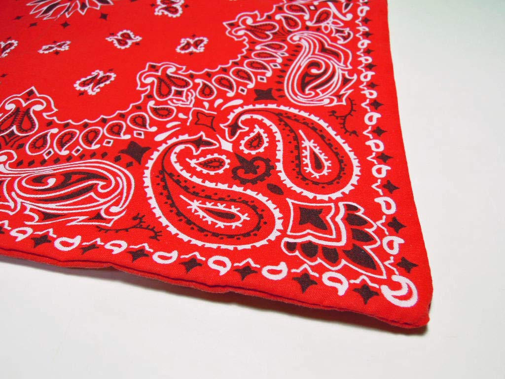 TheBUTON/HAVE A HANK BANDANA/RED/座布団 楽天市場】送料無料 座布団 クッション Detour Life The BUTON