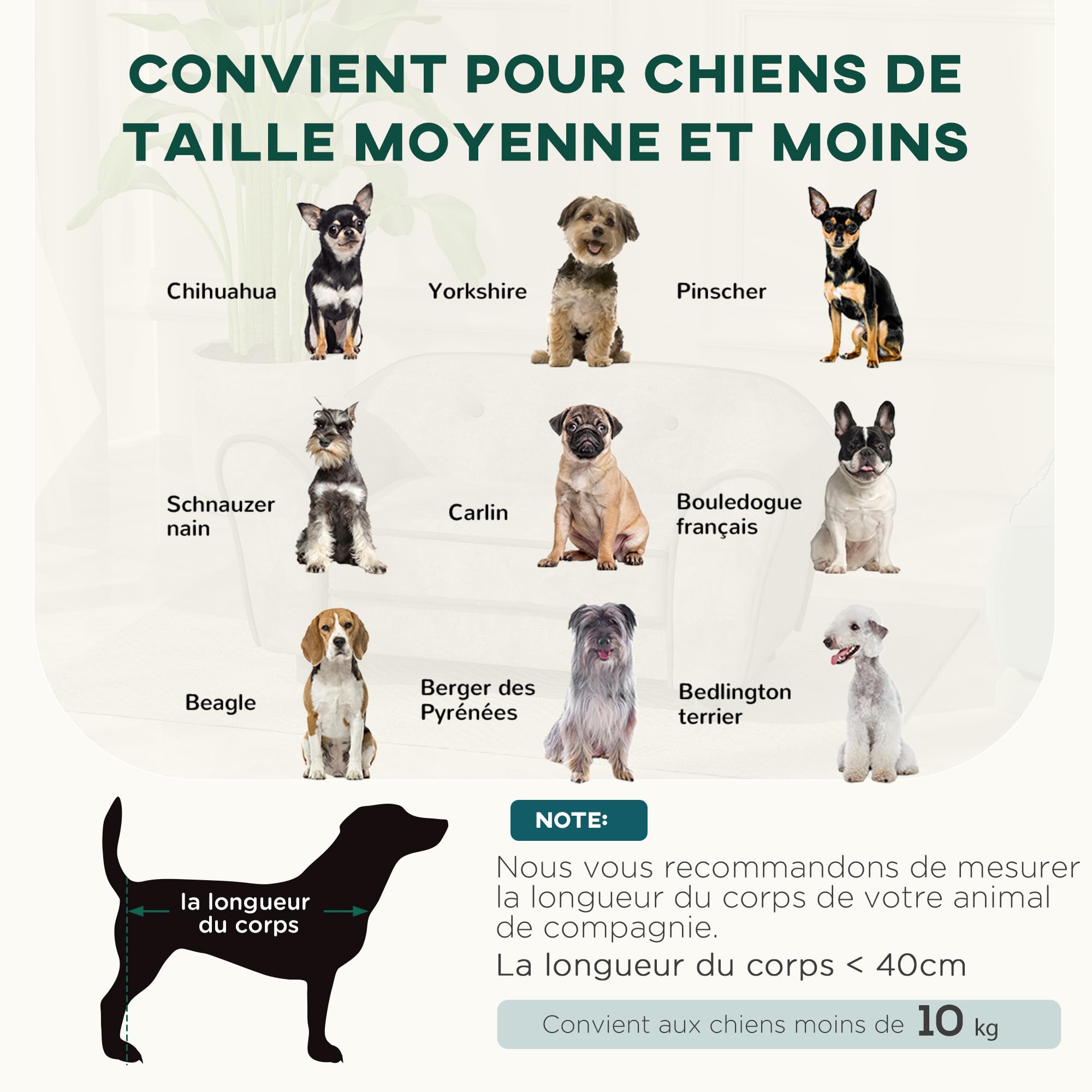 PawHut Canapé pour Chien, canapé pour Chat, Dossier capitonné au Toucher Velours néerlandais, Housse de Coussin Lavable, canapé pour Animaux domestiques, 74 x 41 x 32,5 cm, Gris