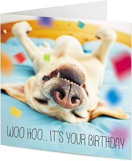 TigerMill Publishing 'Woo Hoo… it's your Birthday' Labrador Retriever Dog Birthday card