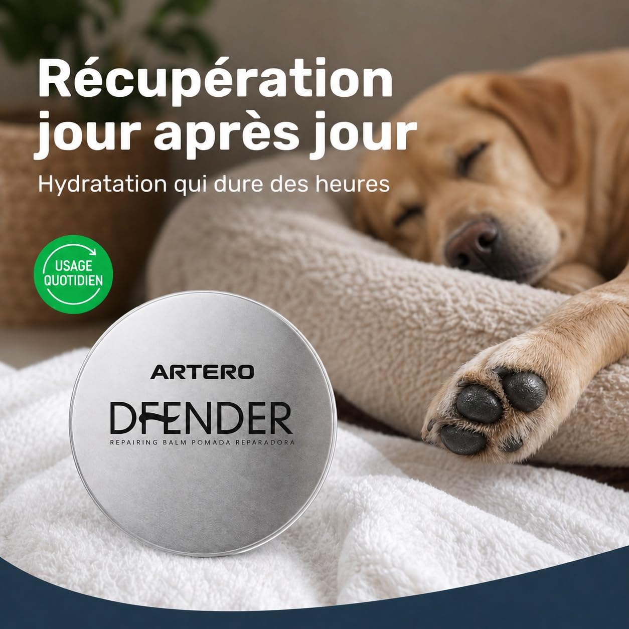 Artero Défendre la solution aux plantaires endommagés et aux nez fissurés chez les chiens