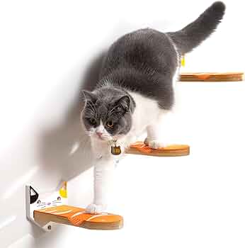 71elZxK70WL._AC_UF350,