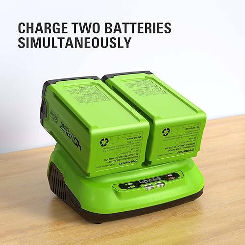 Vista 48 de GreenWorks GREENWORKS 40V 2.0 AH batería de iones de litio 29462