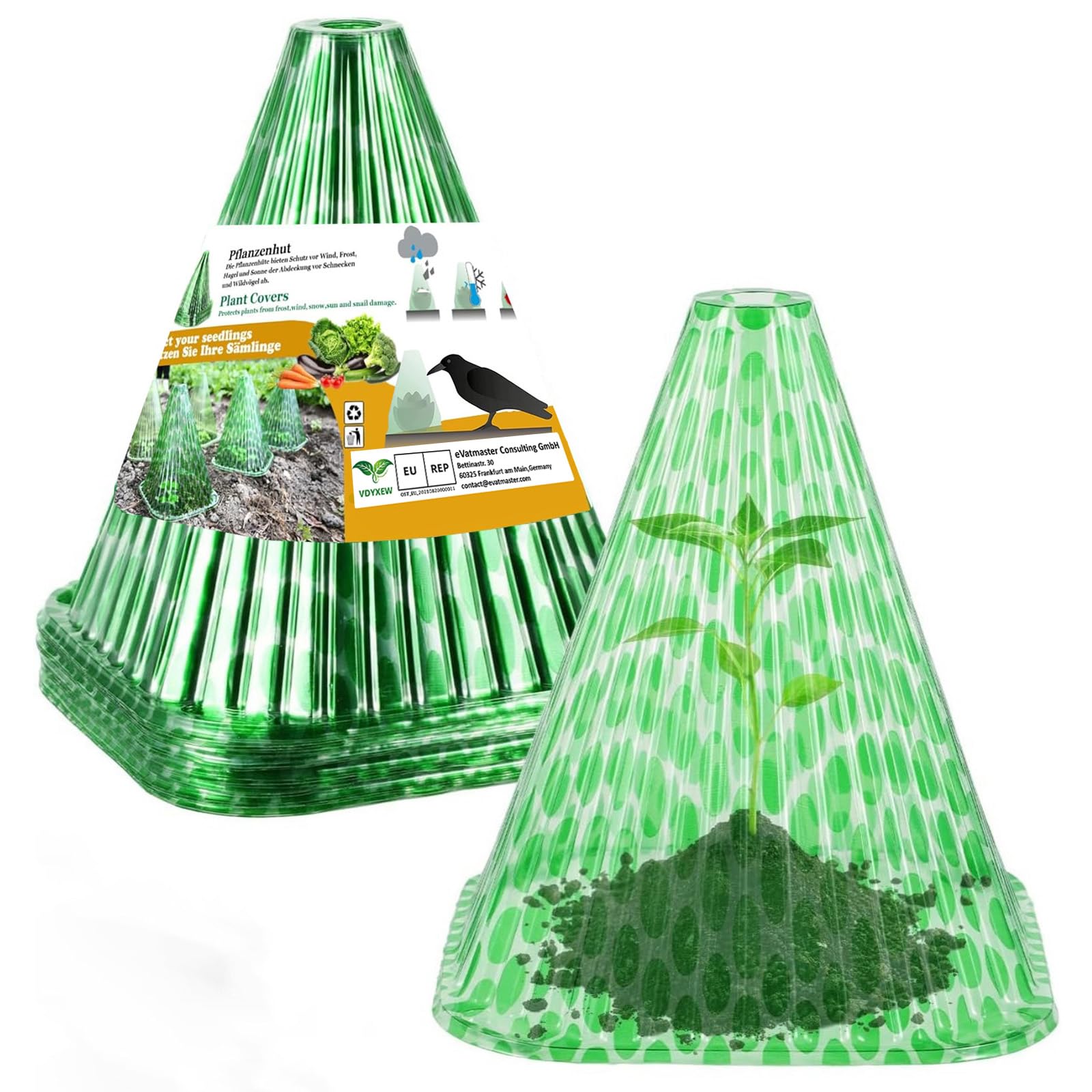 Relaxdays Terrario Piante, Mini Serra in Vetro e Rame, HLP 26x18x15 cm