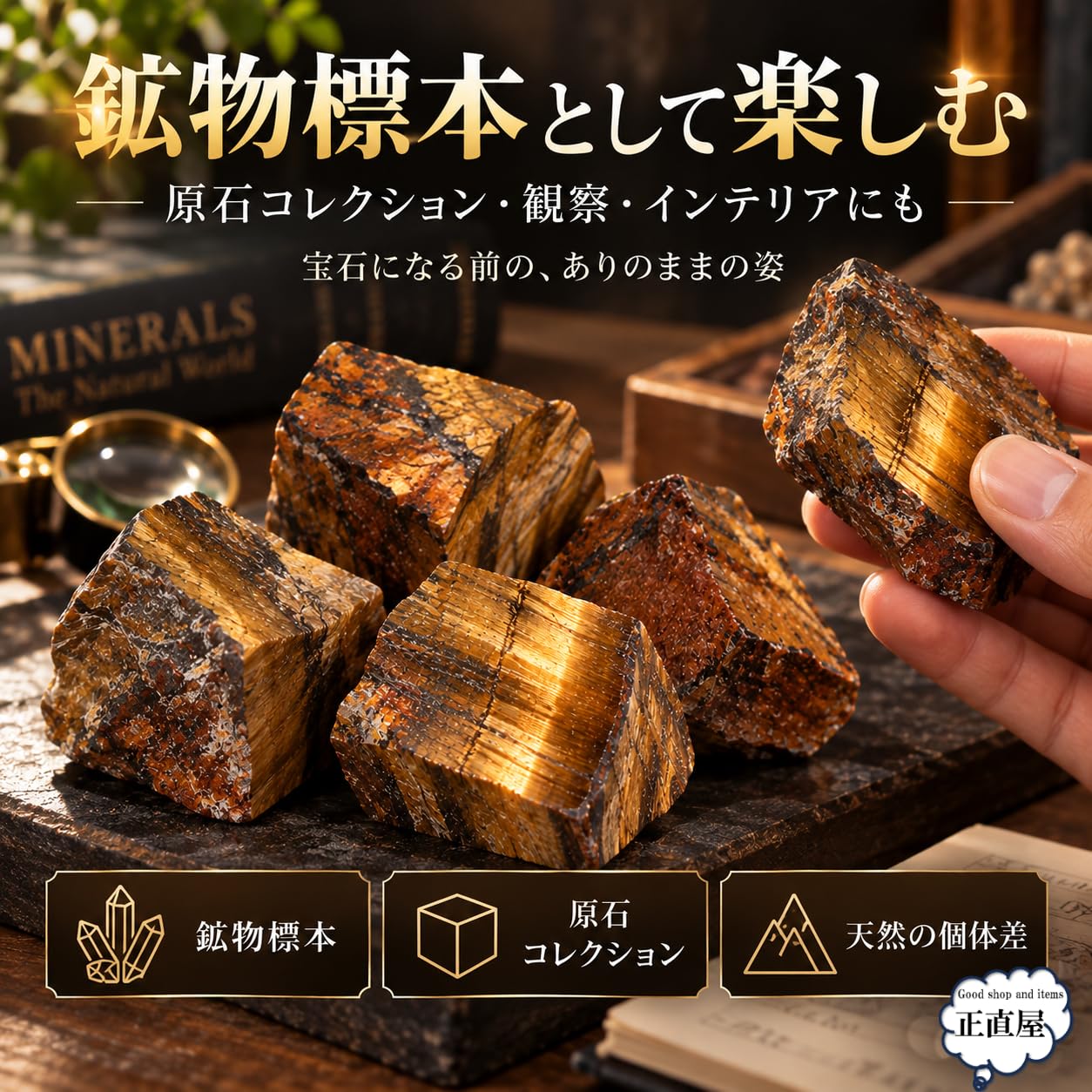 Amazon | 正直屋 虎目石 タイガーアイ 虎眼石 天然石 鉱物 標本 原石