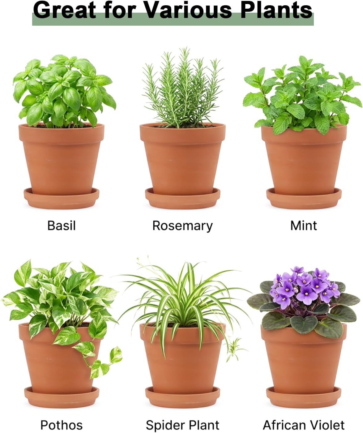 Riseuvo 8 Inch Large Terracotta Pots with Saucers – 2 Pack Big Clay Flower Pots with Drainage Hole, Clay Pot for Succulents, Cactus, Indoor, Outdoor Patio and Garden Plants