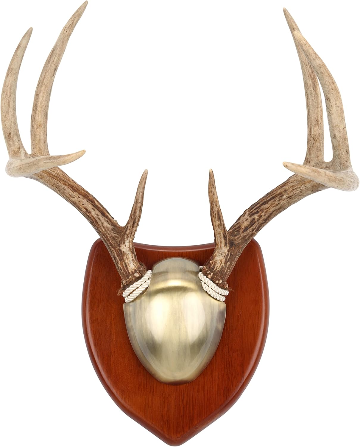 Allen Company EZ Horn Mounting Kit with Hardwood Plaque