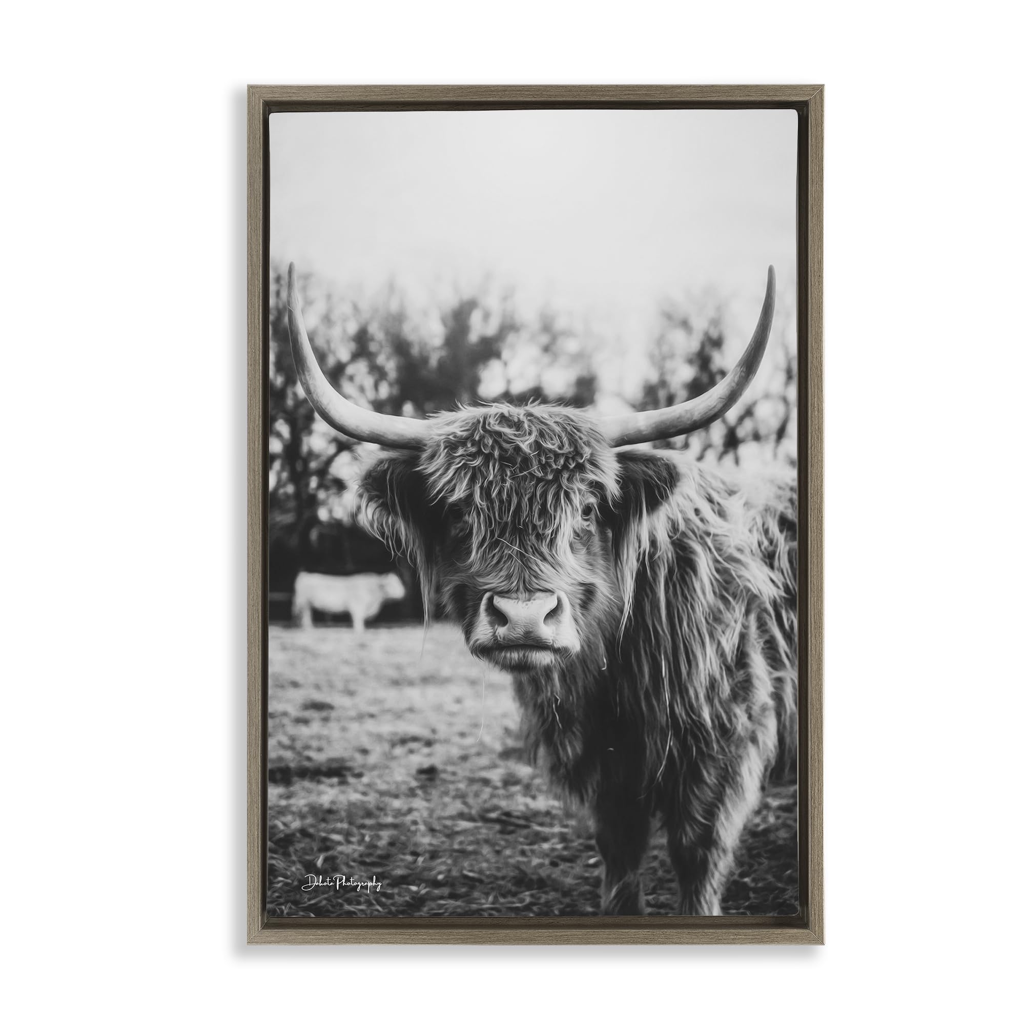 Stupell Industries 'Peering Highland Cattle', Floating Frame Canvas Art, Brown, 21 x 31 Inches, Easy to Hang and Sturdy, Made in USA, by Dakota Diener