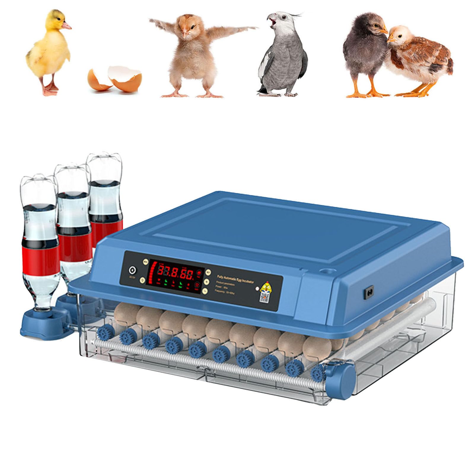 Amazon.com: Incubators for Hatching Eggs, 64-392 Egg Incubator