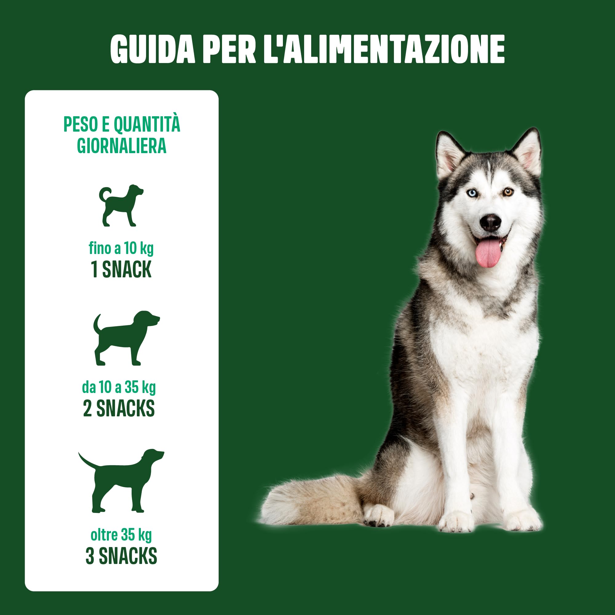 ivvi dental - snack per l'igiene dentale dei cani. Menta, prezzemolo, finocchio, camomilla, olio di cocco, alghe brune. 60 snack con pollo. Favorisce denti sani, alito fresco e gengive sane