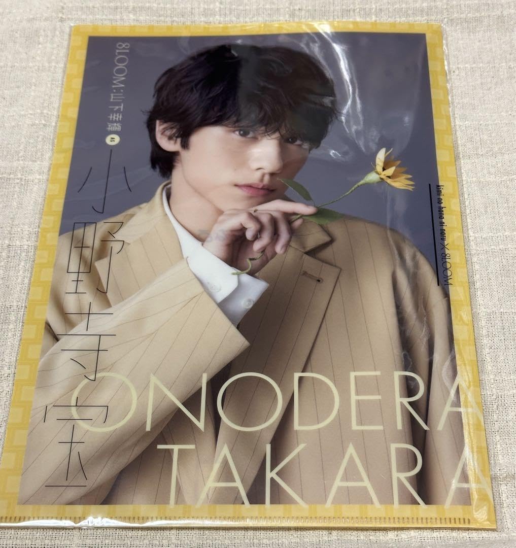 Amazon.co.jp: 山下幸輝 ブルーム クリアファイル 君の花になる : おもちゃ