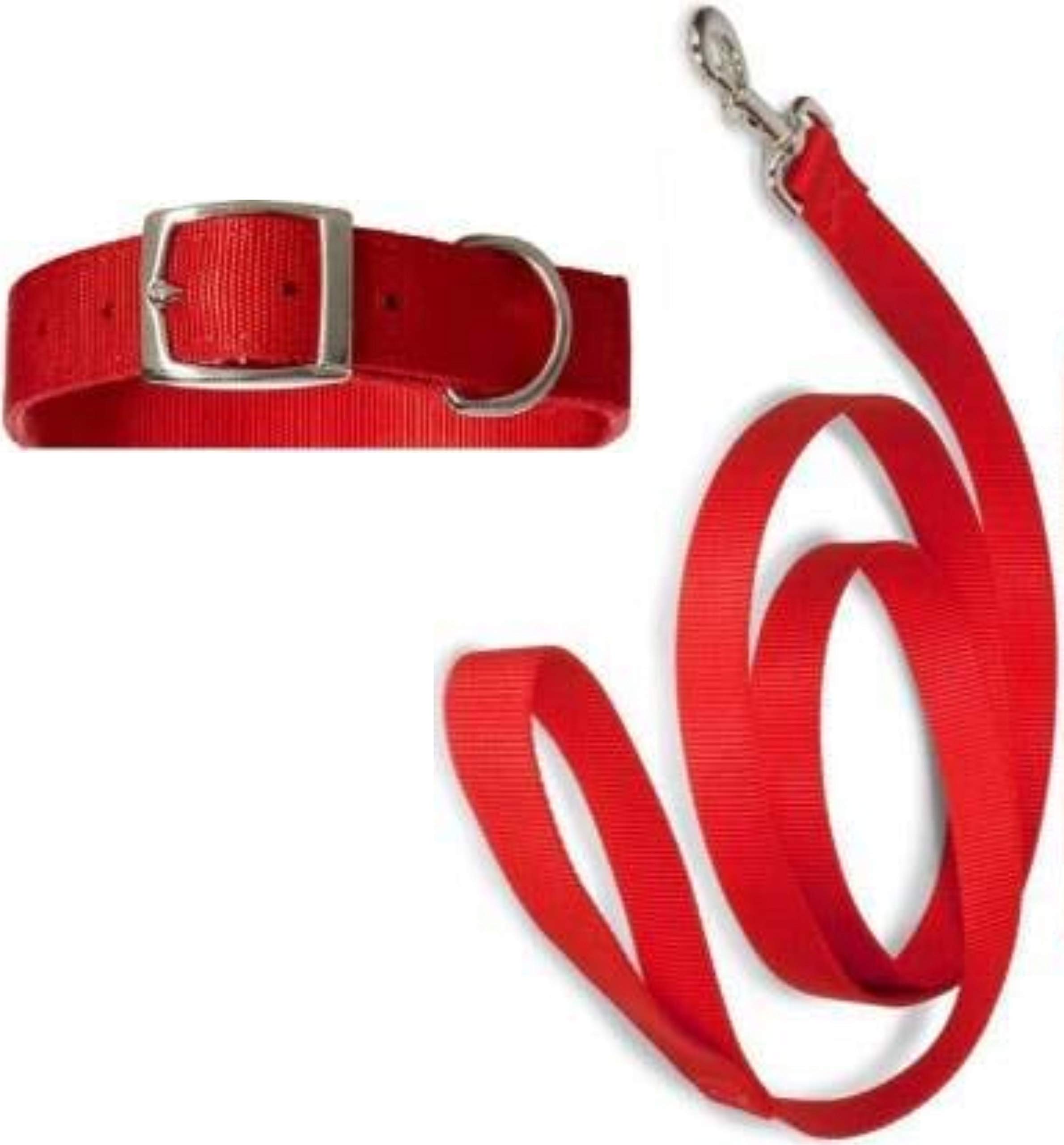 Pedigone Red Color Dog Collar Belt, Dog Collar Leash Specially for Small Breed Dogs. (B082DXZFBM) Amazon Price History, Amazon Price Tracker