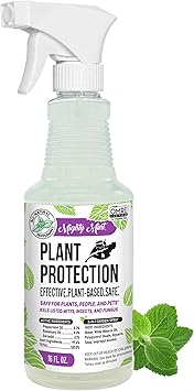 Mighty Mint Peppermint Oil Plant Protection Spray Insect & Pest Control for Gnats, Spider Mites & Aphids Plant-Based, Easy-to-Use - 16 oz