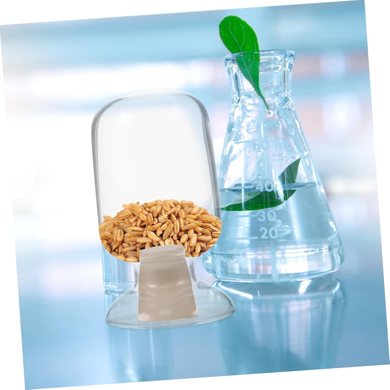 Glass Sample Storage Bottle Decorative Jar with Stopper for Laboratory Display Lightweight and for Sample Preservation and Easy Cleaning