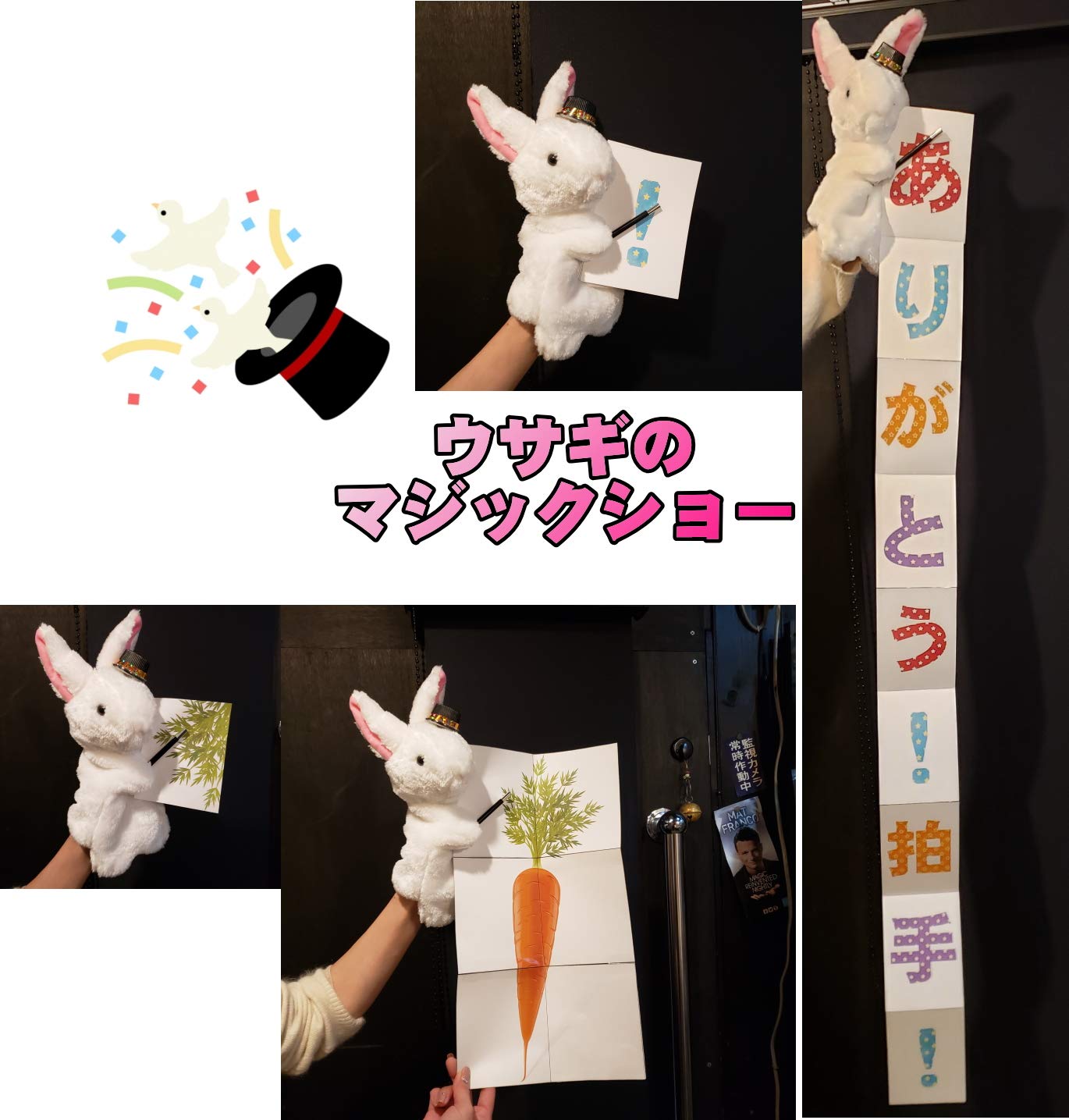 ウサギのパペット（ぬいぐるみ）マジシャン　スタンアレン　カードマジック Amazon | 手品屋 ウサギのマジックショー ＜パペットウサギが持った