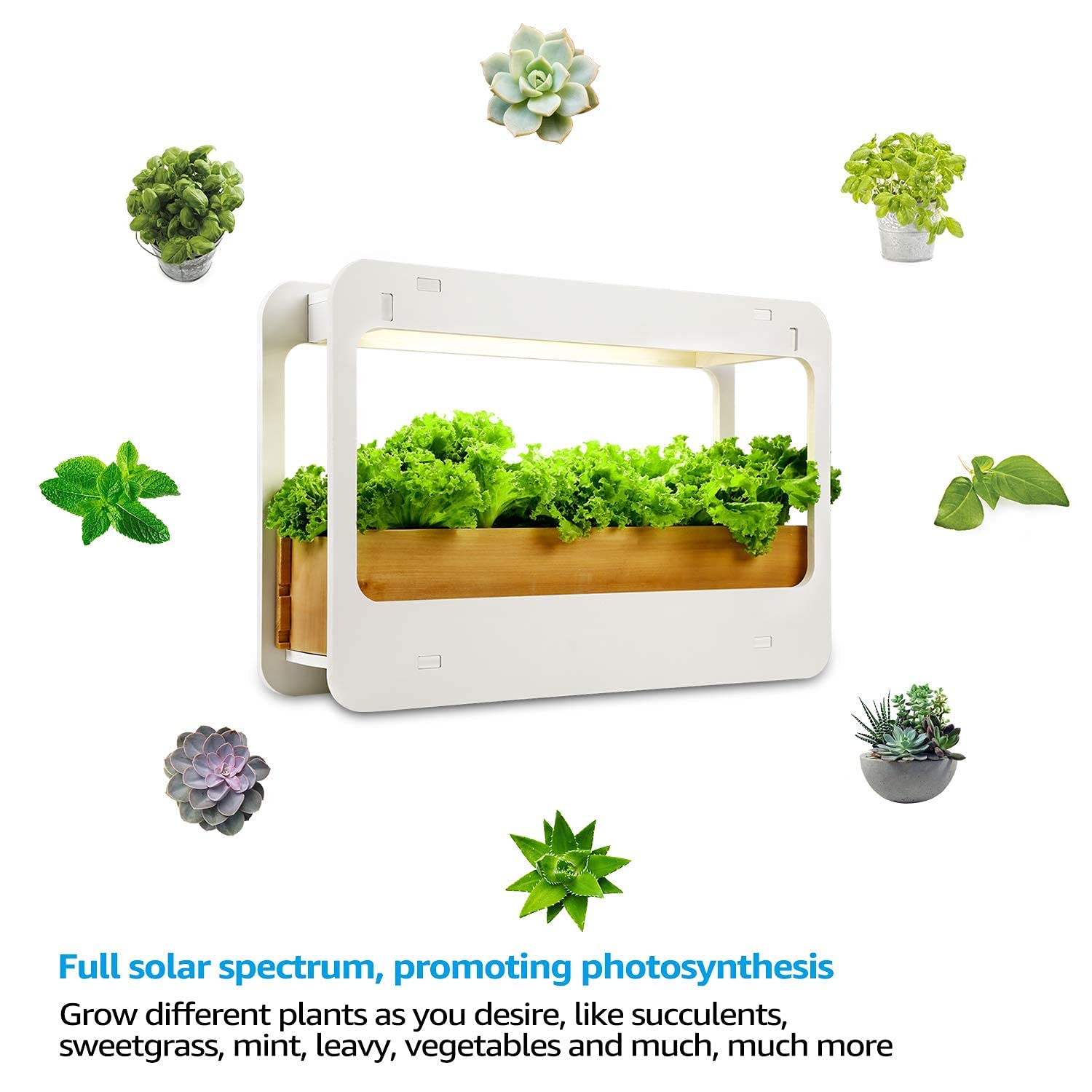 TORCHSTAR LED Indoor Herb Garden, CRI 95+ Full Spectrum Light, 24V