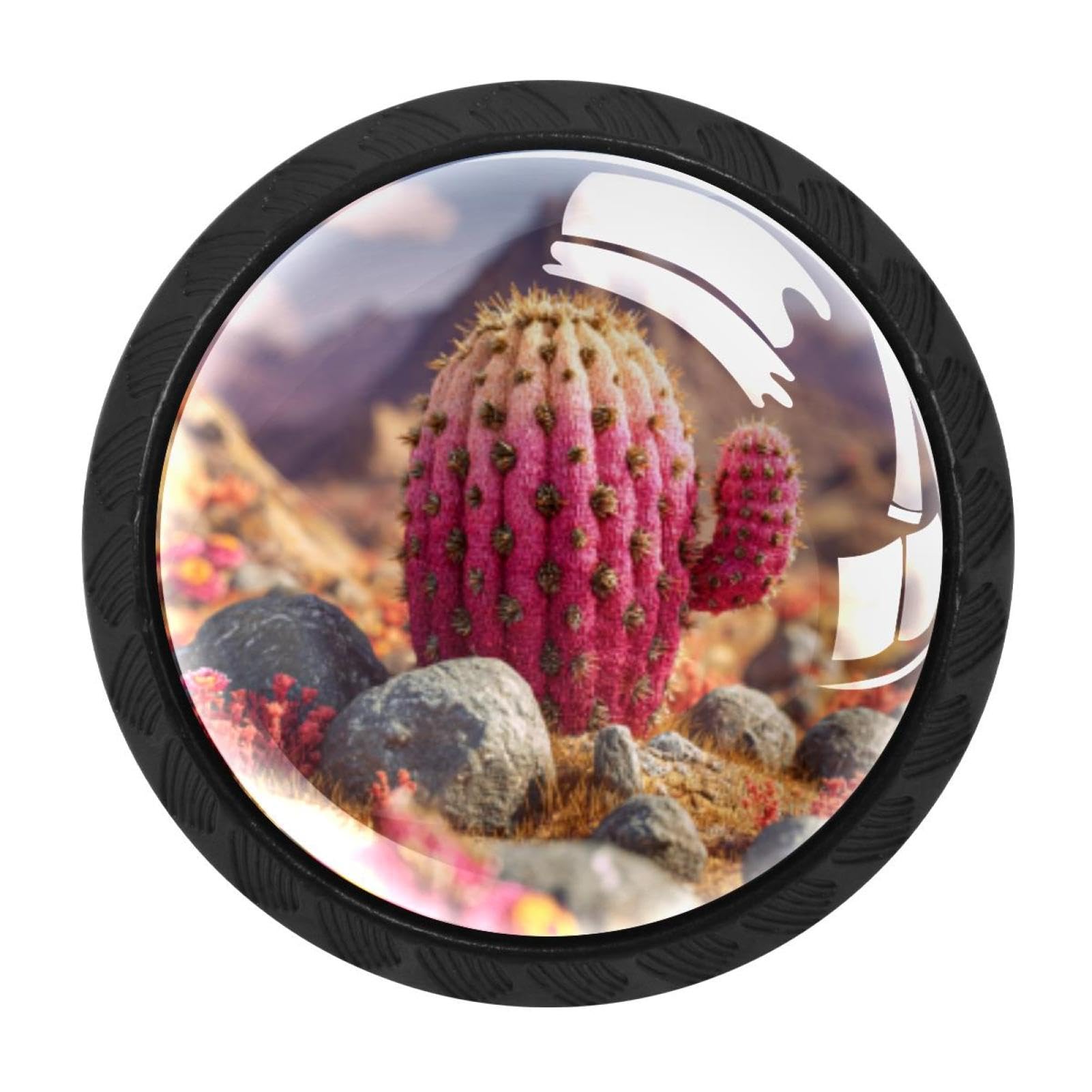 CHENZZZZ 4 Pack Cabinet Handles Black Cactus in the Desert (1) Cabinet Knobs Draw