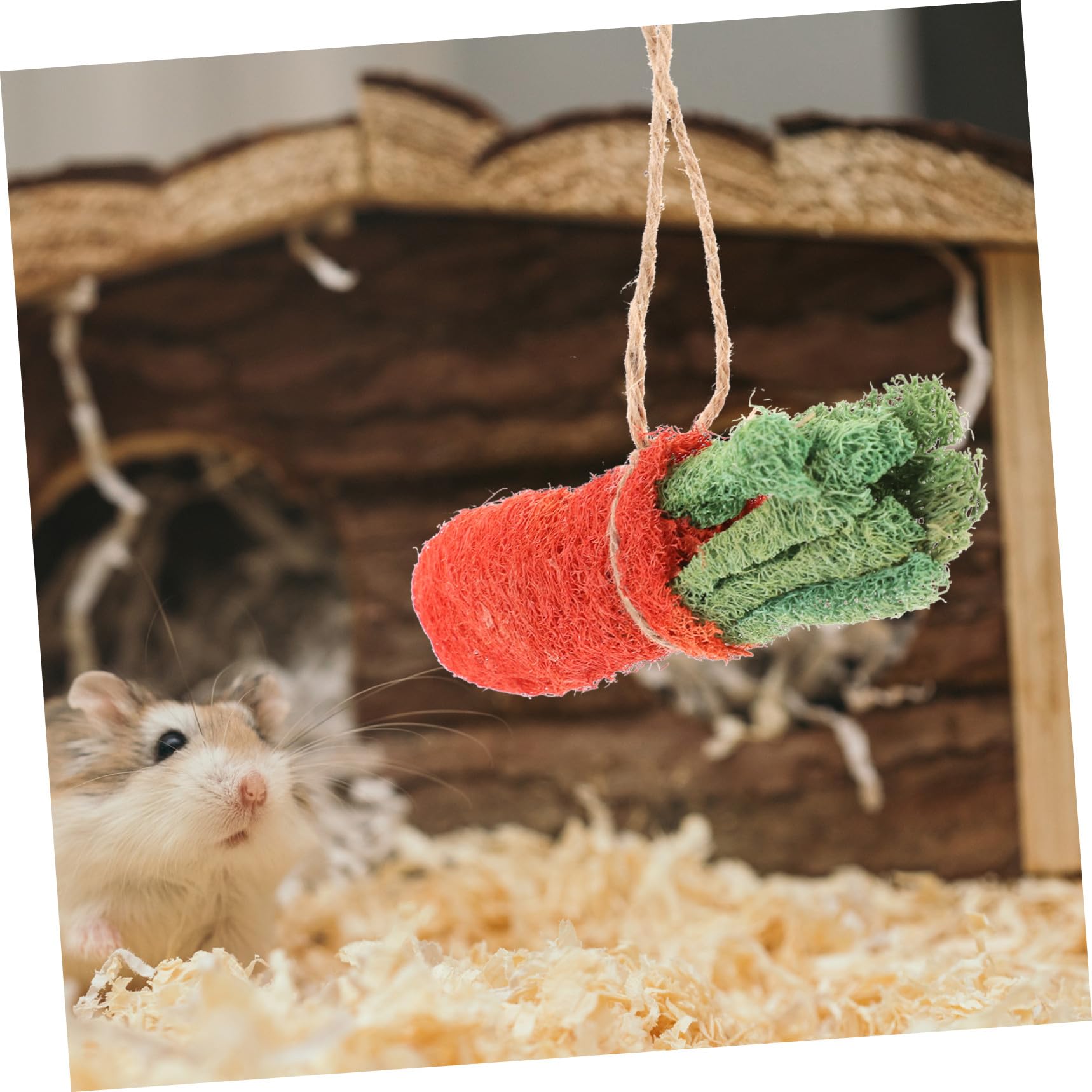BESPORTBLE 8pièces Jouets à Mâcher pour Lapins Friandises pour Hamsters et Chinchillas Jouets Intérieur pour Petits Animaux Lot