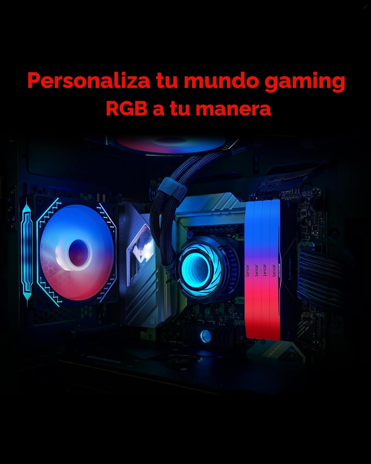Lexar RGB DDR5 RAM 32GB Kit (2x16GB) 6000MHz CL26, Memoria Escritorio UDIM 288-Pin, computadora Juegos para AMD Expo/DRAM con tecnología SK hynix/CL26-36-36-68/1.45V 7