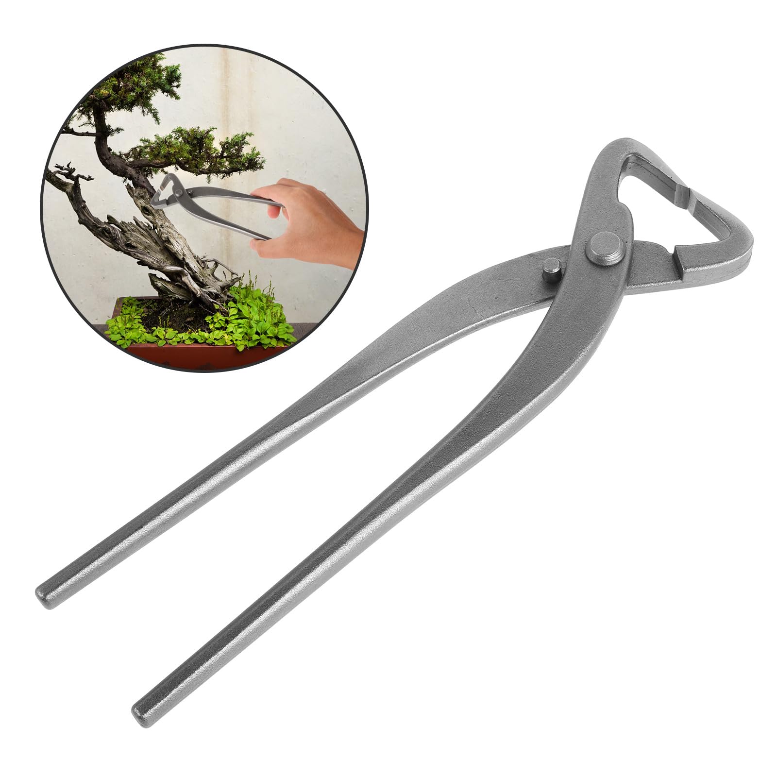 jojofuny Sécateur à Bonsaï en Acier Argenté Design Ergonomique, Outil Polyvalent Taille Sculpture Créative des Branches de Bonsaï
