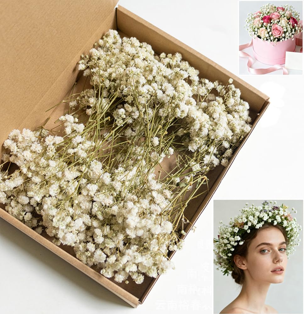 Uhky 100Pcs Dried Baby's Breath Flowers-Real Natural Gypsophila Bulk for DIY Art Craft, Flowers Bouquet for Party Tables Decorations, Office Wedding Home Decor (100Pcs-White)