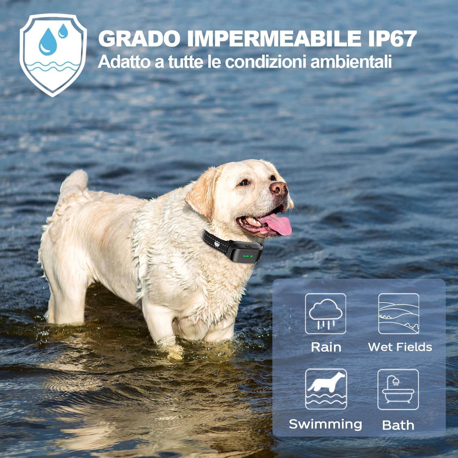 Collare di Addestramento per 2 Cani, Collare Impermeabile IP67 per cani, Collare Antiabbaiamento a 3300 piedi con Telecomando, Modalità di Addestramento a Vibrazione e Suono con Blocco di Sicurezza