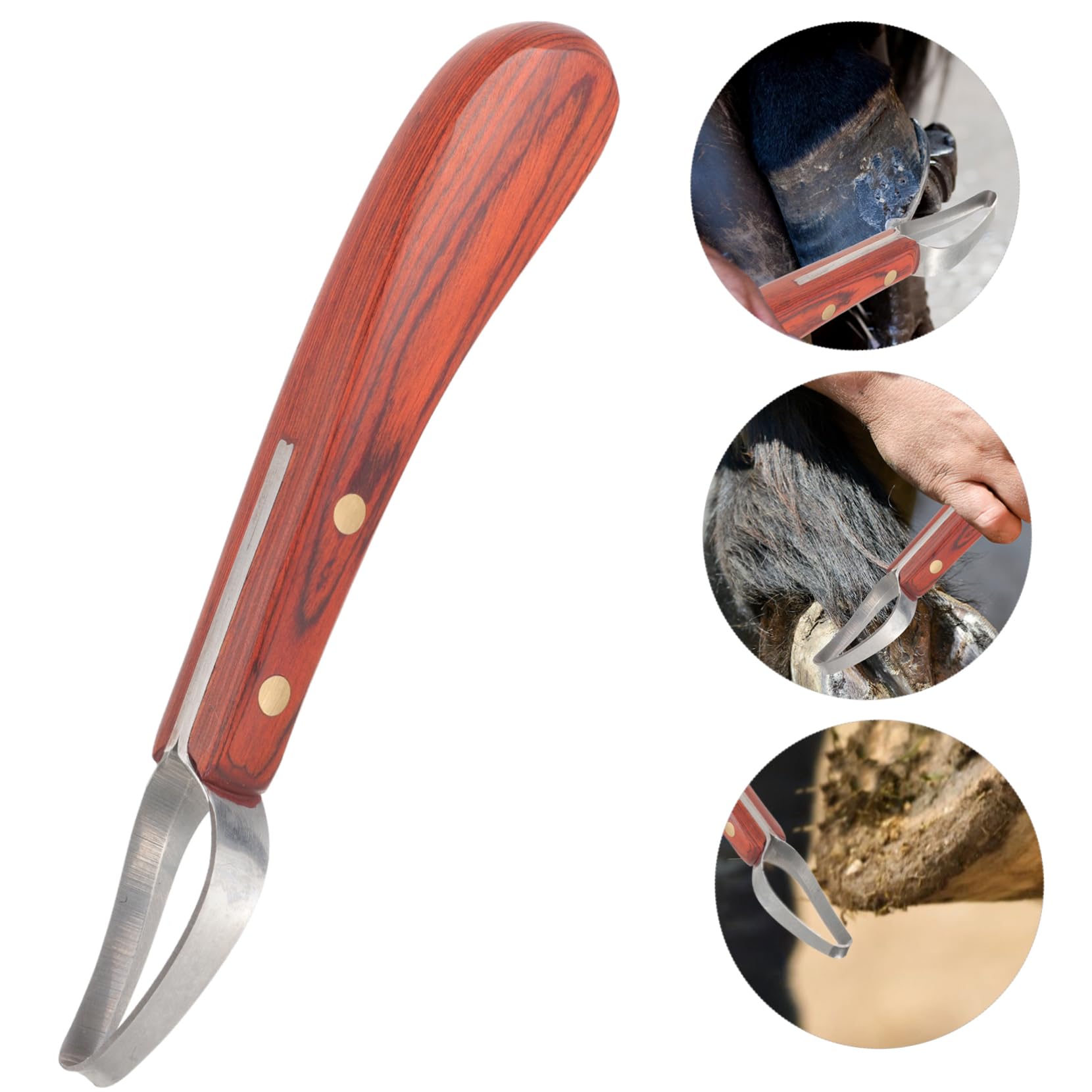 BESPORTBLE 2stücke Professionelles Hufwerkzeug Aus Manganstahl Robuster Hufschneider Für Pferde Ergonomischer Griff Leichte Handhabung Für Täglichen Gebrauch