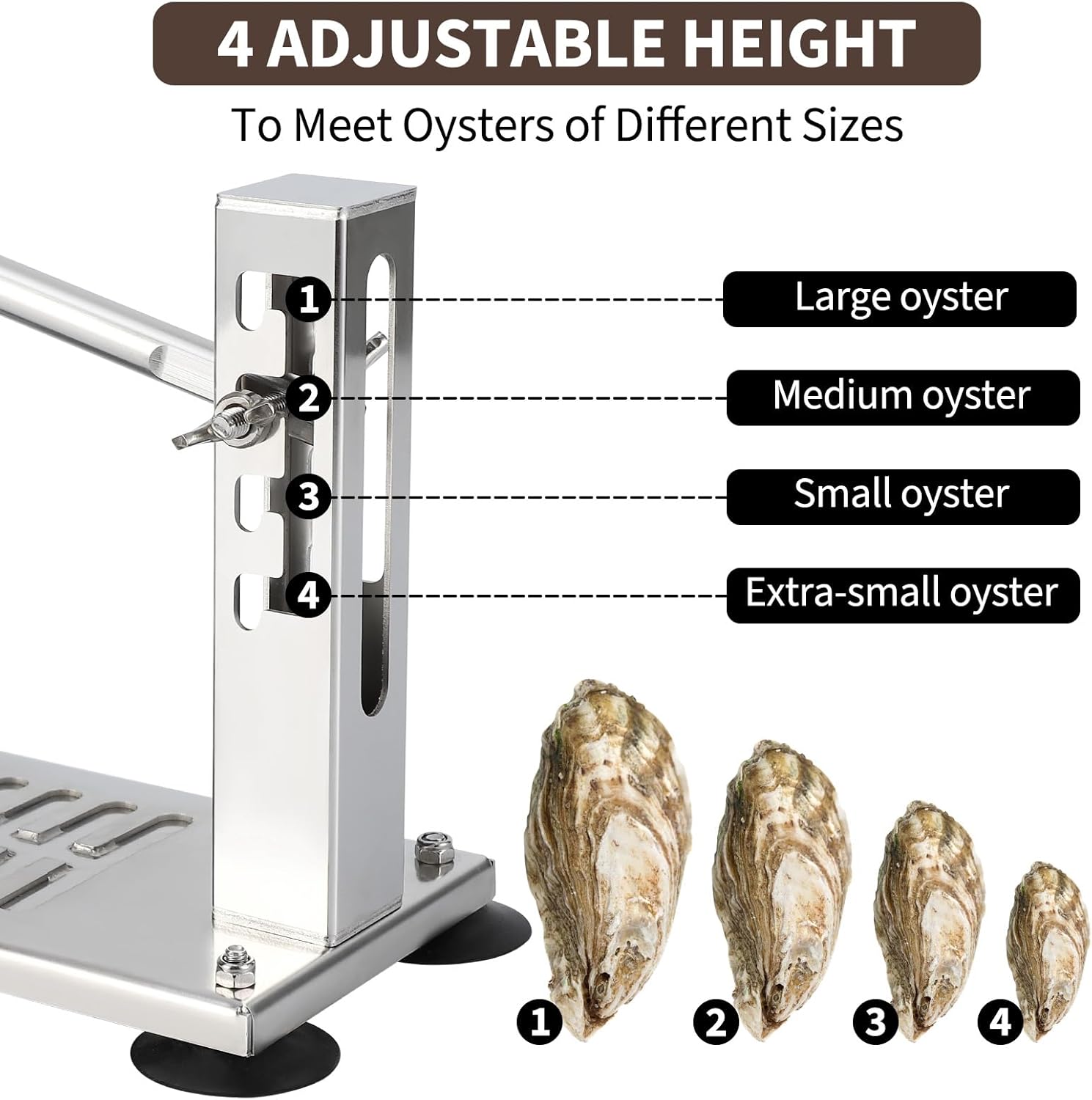 GarveeTech Stainless Steel Shucker Machine, Adjustable 4-Level Height with G-Clamp & Gloves, Base for Easy Safe Opening Tool Set