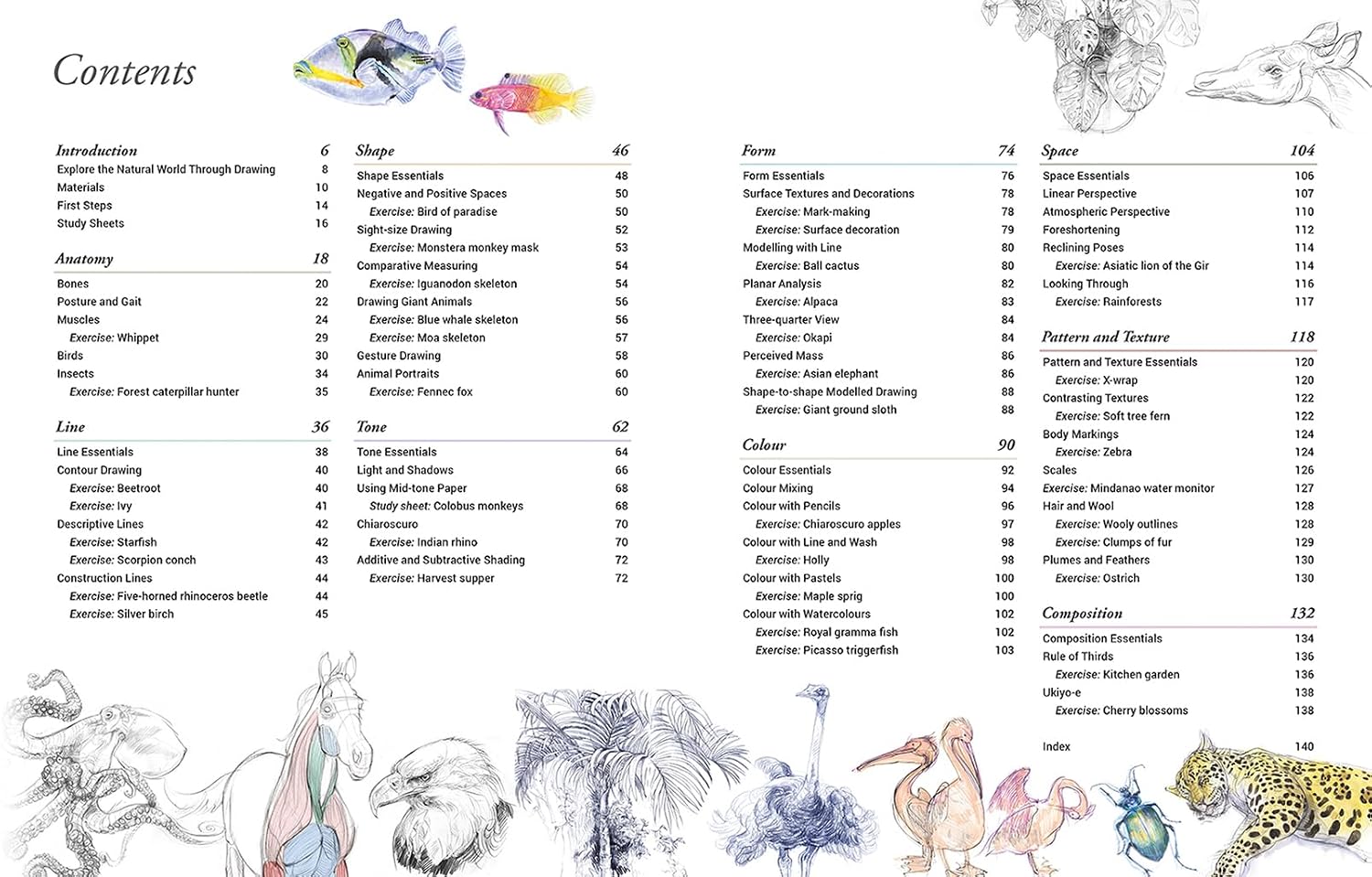Drawing the Natural World