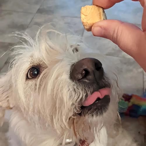 Miniatura 4 de Golosinas de salmón para perros  Hecho en Estados Unidos  1 Ingrediente Salmón Americano capturado en la naturaleza  Cruda liofilizada, grado humano