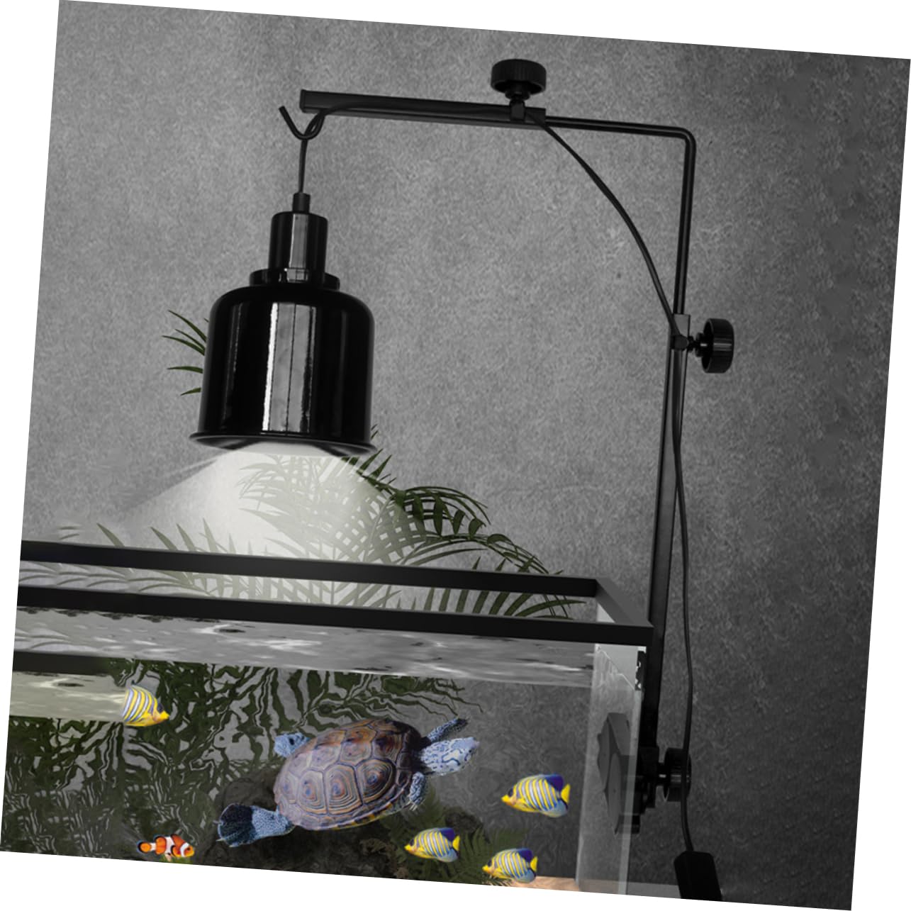 Mipcase Supporto Luce Acquario Supporto Luce Terrario Accessori Per Acquari o Per Dell'acquario o Per Lampada Appendiabiti Per Lampada Rettile Black Ferro Da Stiro