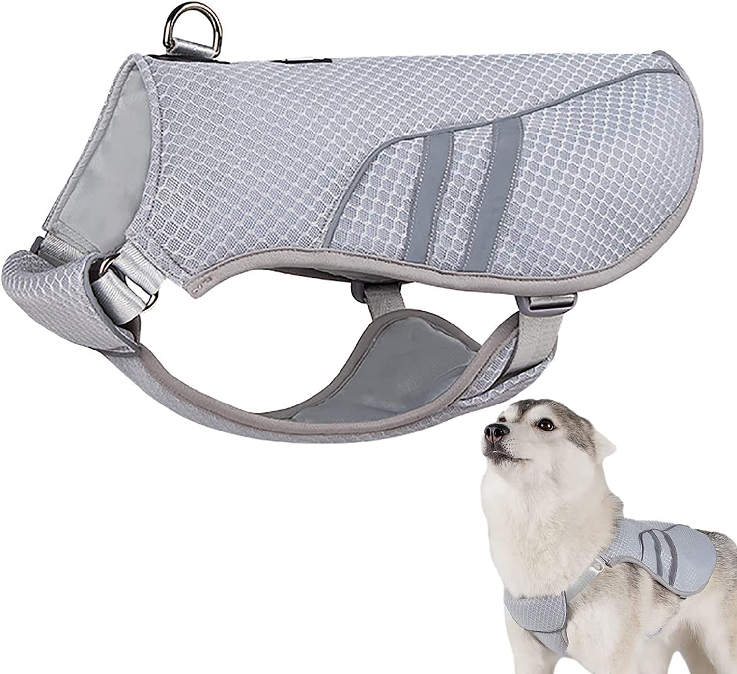 Gilet de refroidissement pour chien contre les coups de chaleur en été S