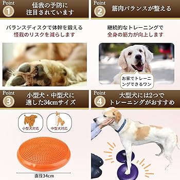 Amazon | JON TORUDO 犬用 バランスディスク バランスボード