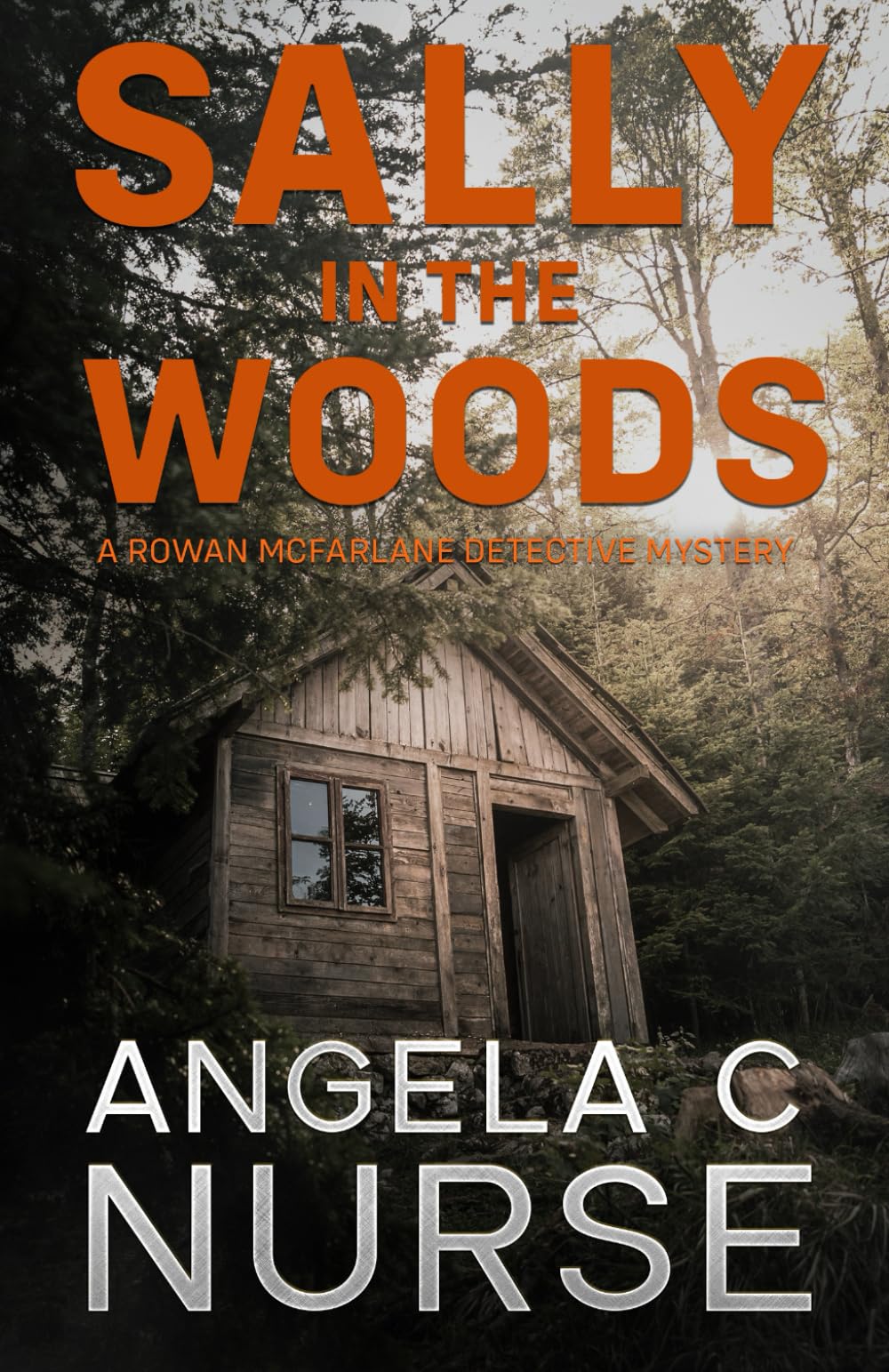 Sally In The Woods: 2 (The Rowan McFarlane Detective Mysteries)