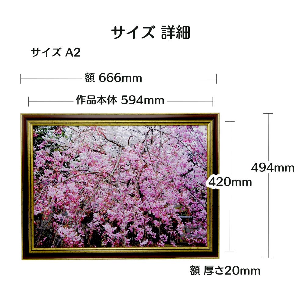 Amazon.co.jp: 林かつひろ アートパネル 写真 インテリア 桜満開 妙顕