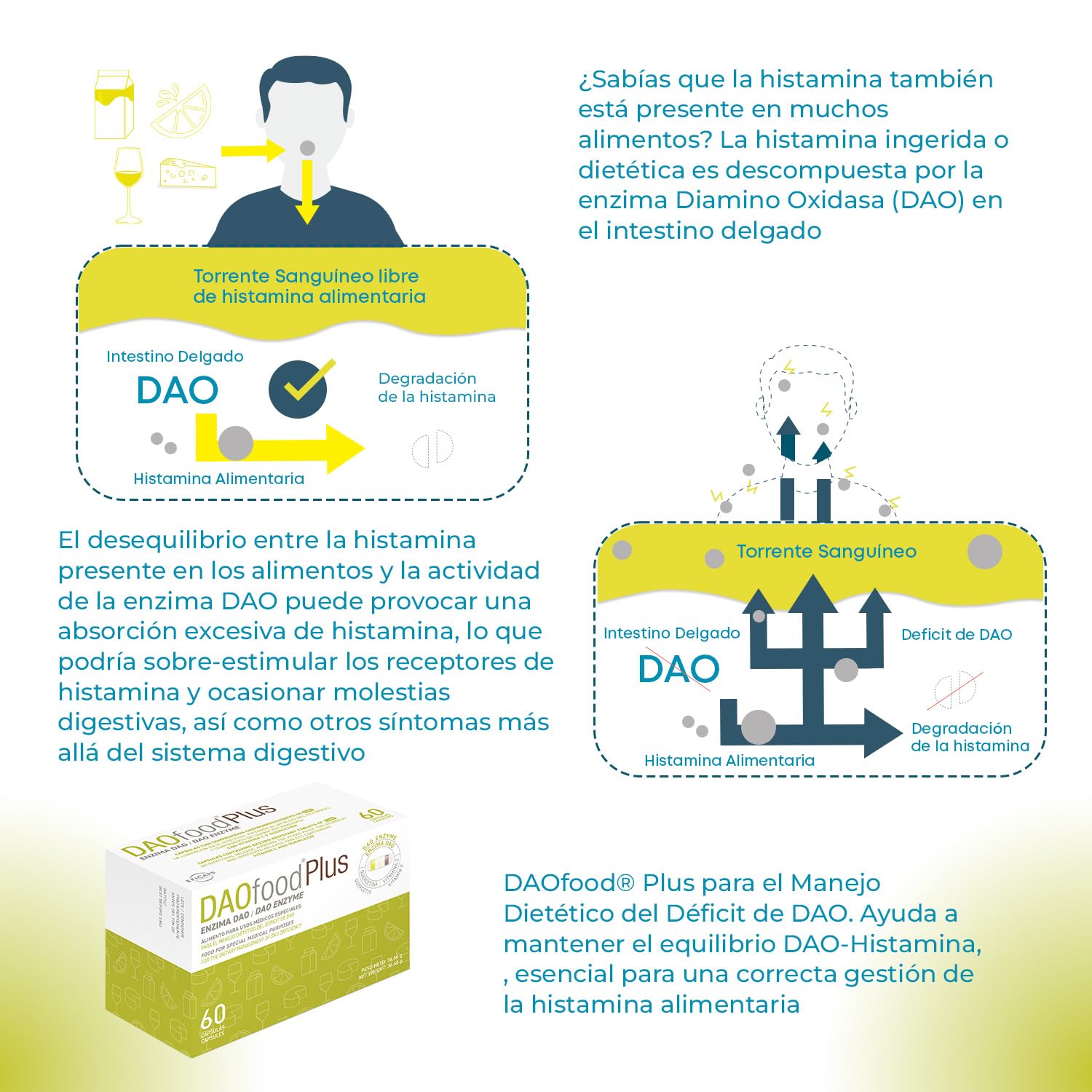 DR Healthcare - DAOfood Plus - Enzima DAO - Quercetina y Vitamina C - Contribuye al Equilibrio de la Histamina Alimentaria - 60 Cápsulas con Mini-comprimidos Gastrorresistentes de DAO