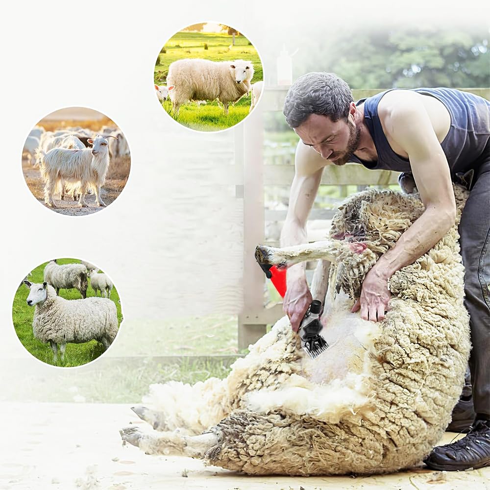 Tosapecore Tosatrice Elettrica Professionale per Pecore Capre Lama Alpaca con Motore 550W Regolabile 6 Velocità Valigetta e Accessori Inclusi
