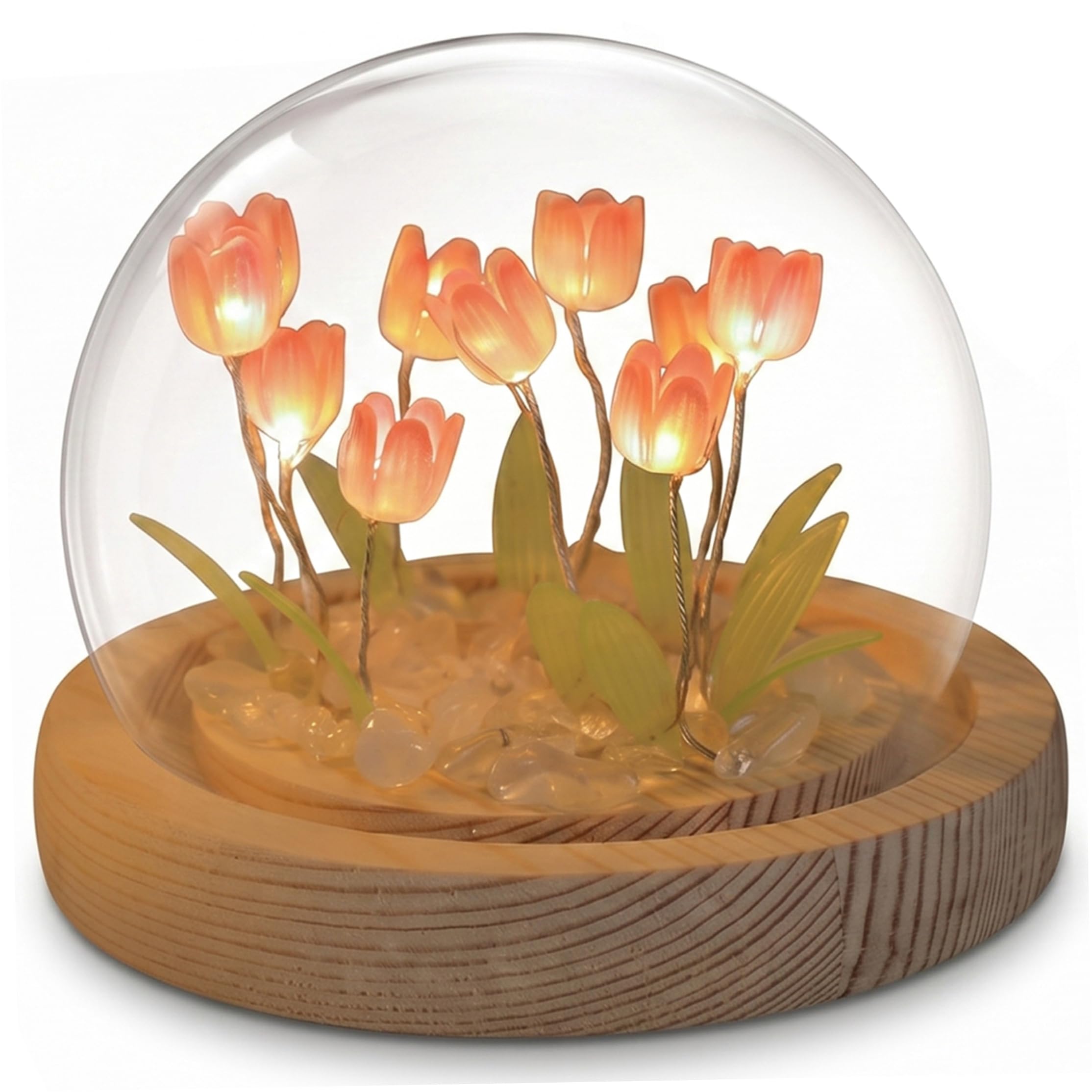 Ginwrek Light Up Globe Light Up Tulips, 2pcs DIY Flower Night Set With Usb-powered Wood Base, Empty Glass Globe, Tulips for Desktop