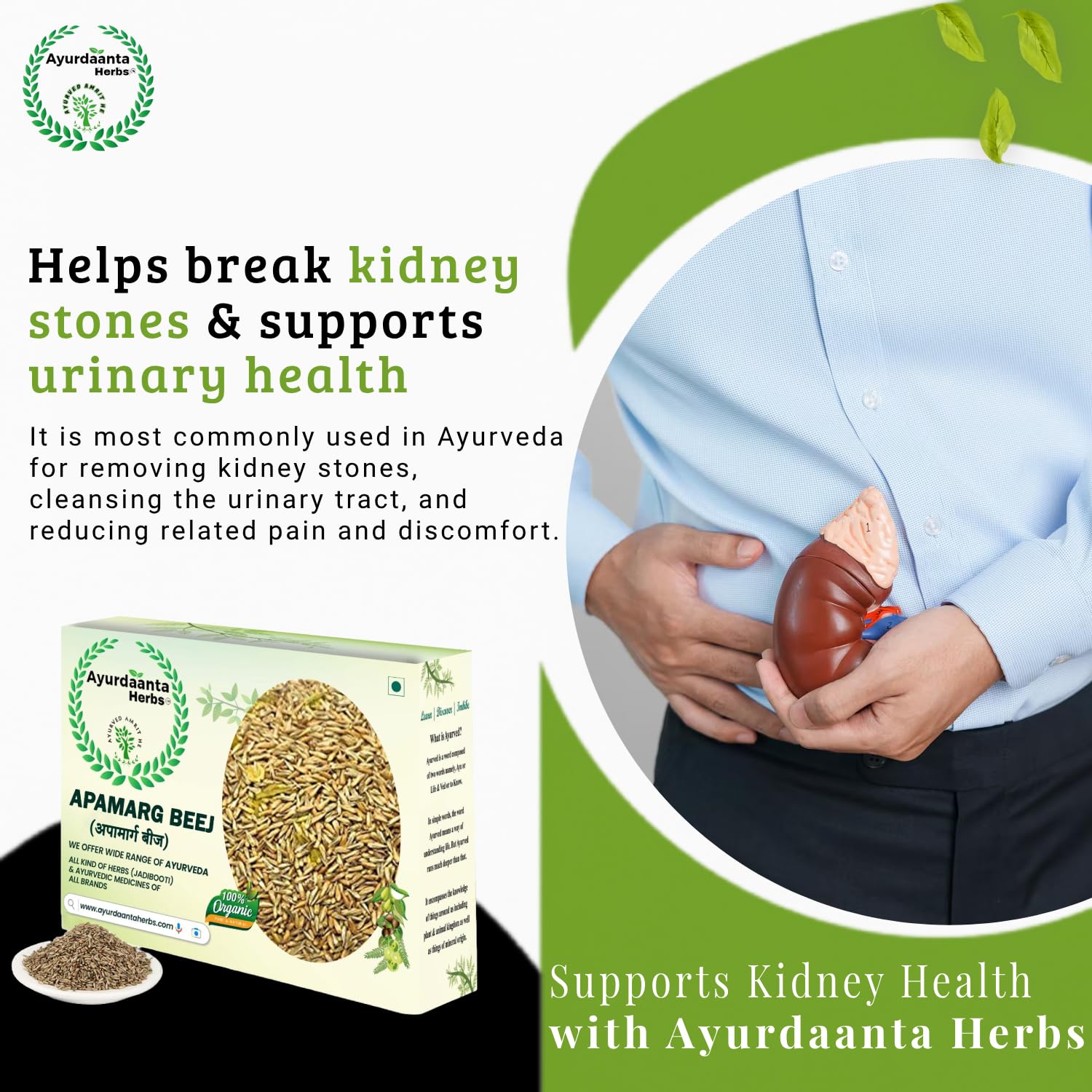 Ayurdaanta Herbs - Apamarg Beej/Apamarg Seeds(EADIBLE-GRADE-1)| Edible Apamarg Seeds| Latjira Beej| Chirchita| Latjeera | Uttareni Seeds | आपमार्ग बीज(खाने योग्य)| चिरचिटा बीज | लटजीरा बीज (200Gr) 1