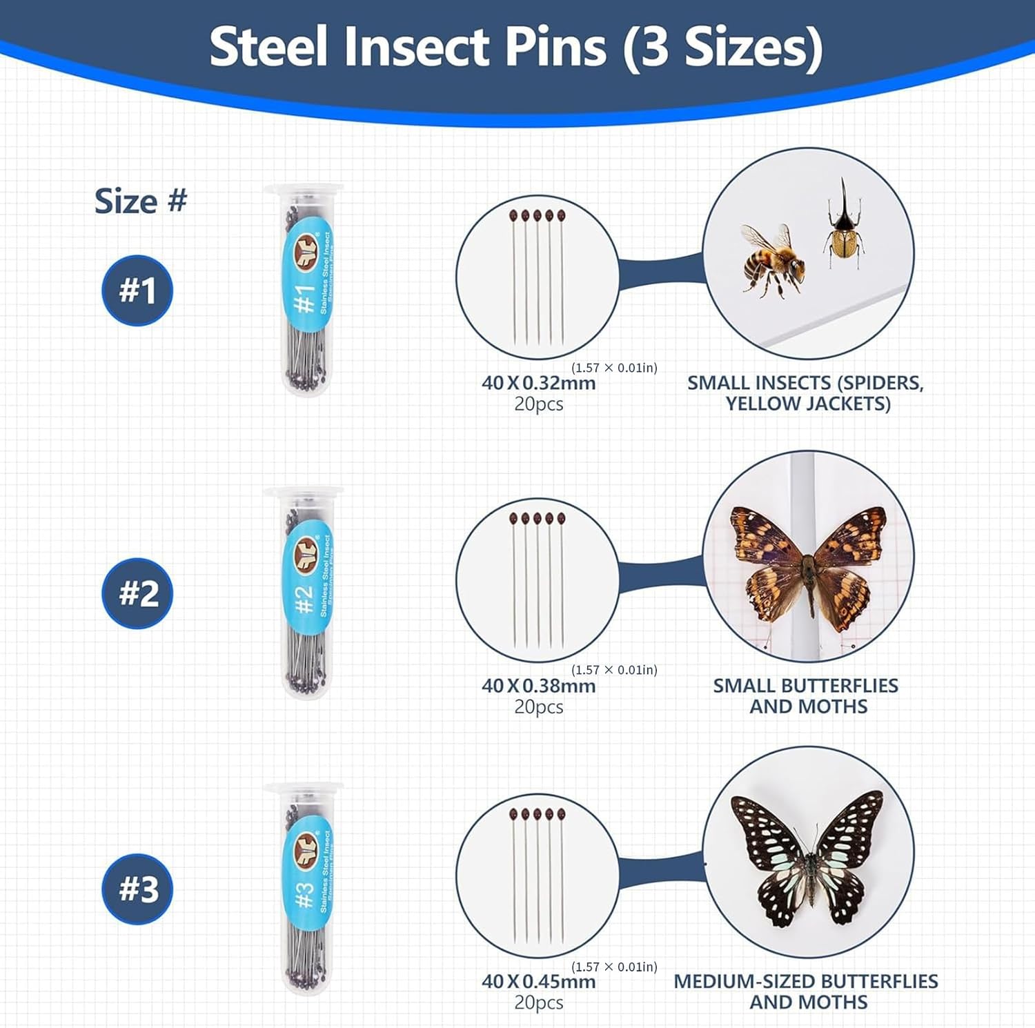 Advanced Butterfly Display Preparation Equipment with Elastic Pinning Platform Wing Arrangement Papers and Fine Pointed Entomology Tools
