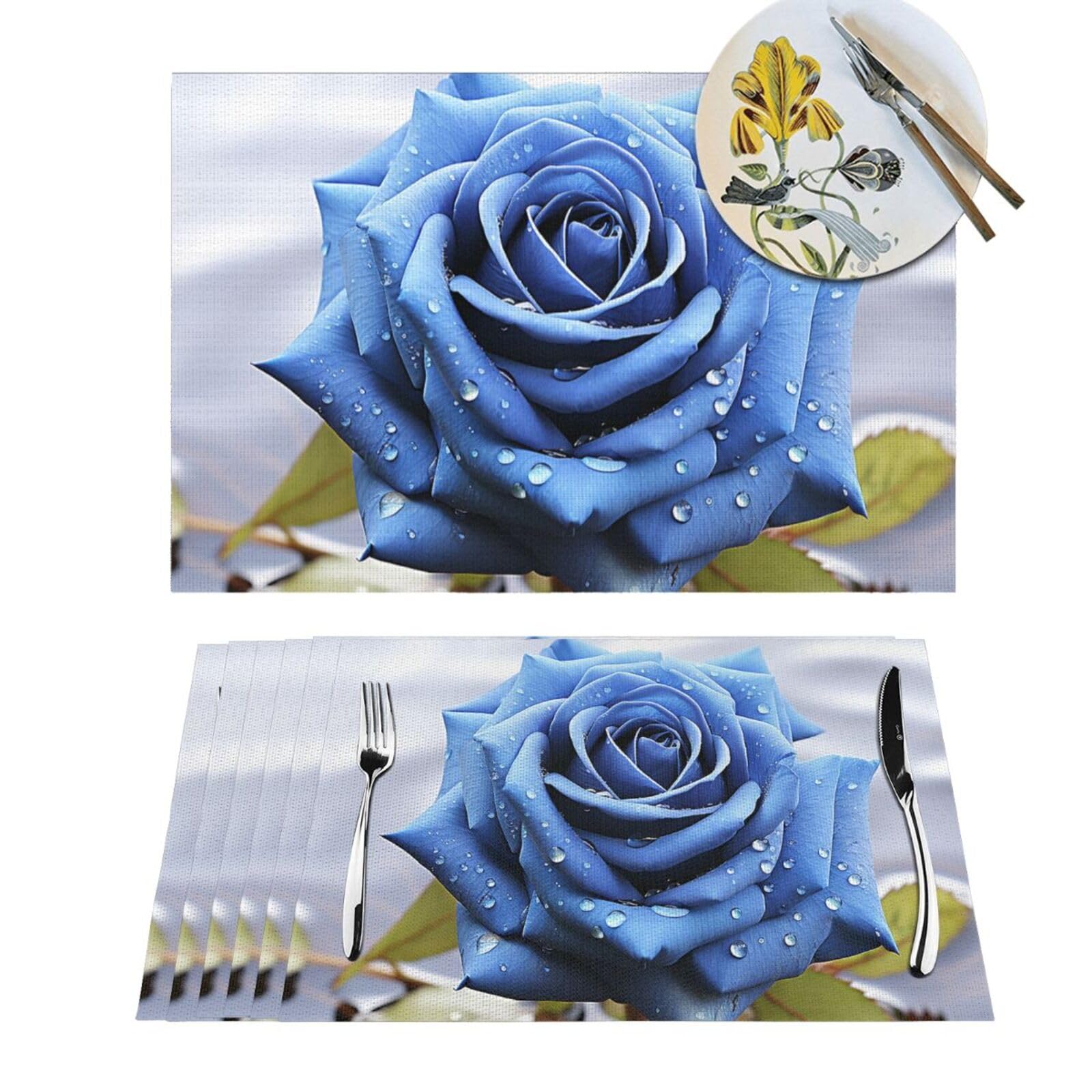 Sets de table lavables en PVC pour protéger votre table des taches