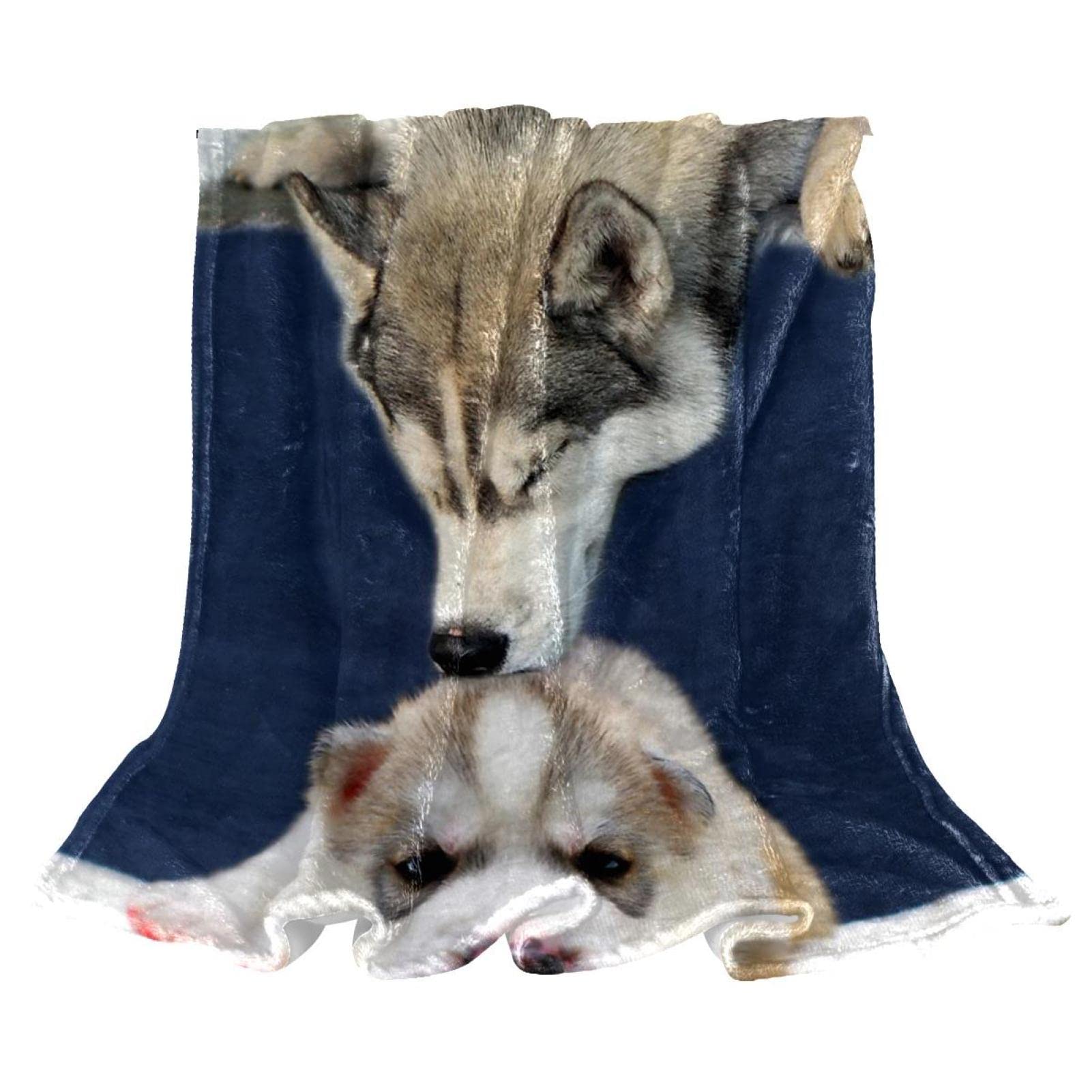 Couverture en peluche husky TBOUOBT en microfibre douce pour lit et canapé