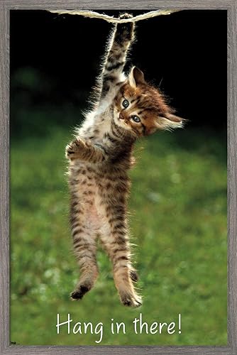 Póster de pared con diseño de gatito famoso, 34 pulgadas de largo x 22.4 pulgadas de ancho, versión enmarcada de madera de granero