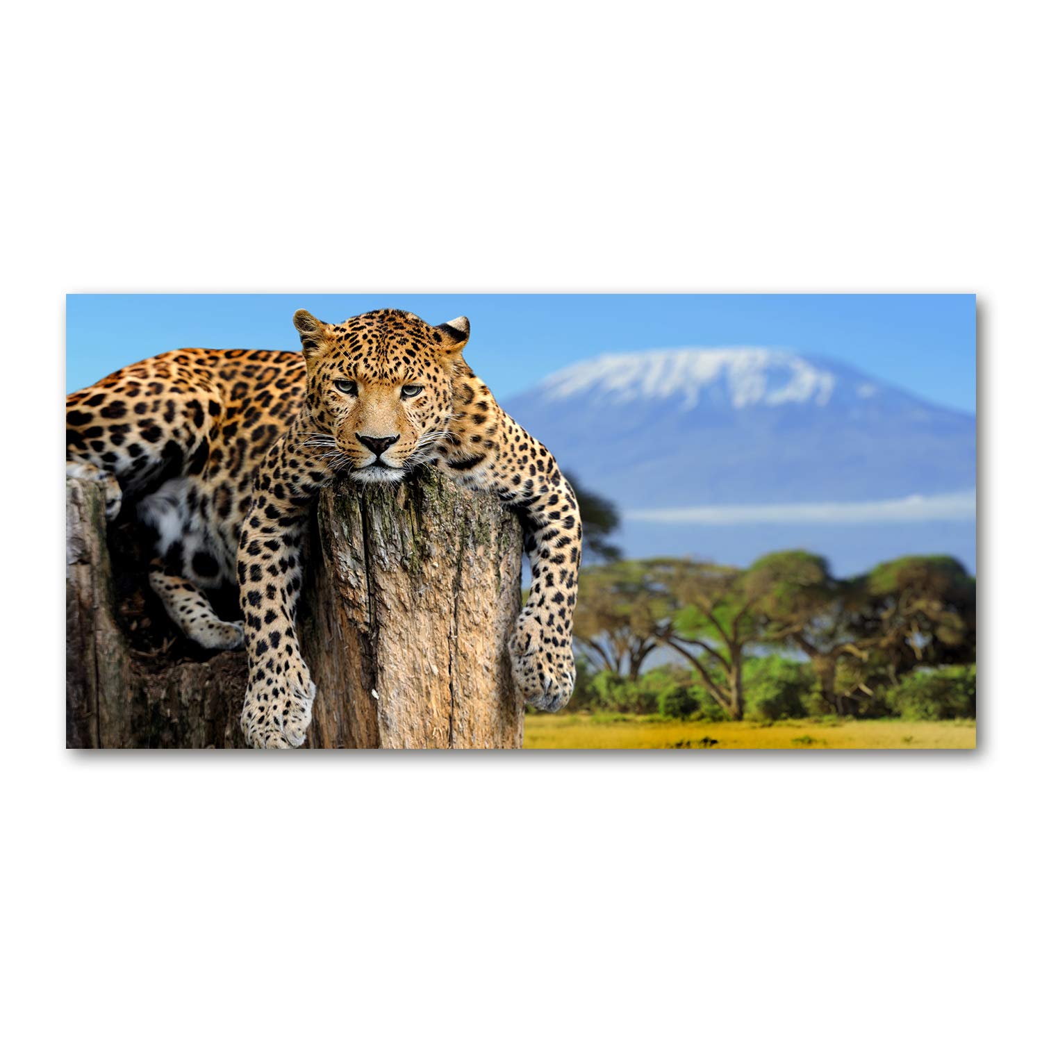 MuchoWow® Glasschilderij 120x60 Cm - Schilderij Acrylglas - Egel Is Aan Het Eten 120x60 Cm Acrylglas Schilderijen Foto Op Glas