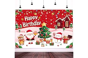 Christmas Birthday Backdrop for Kids