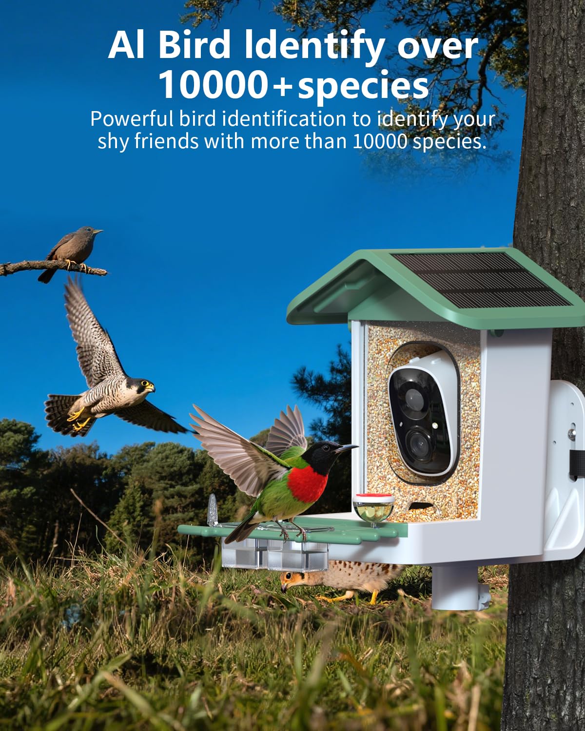 Comedero para pájaros con cámara, cámara inteligente 2K para pájaros con energía solar, identificación de especies de pájaros, notificaciones instantáneas, regalo ideal para familiares y amantes de