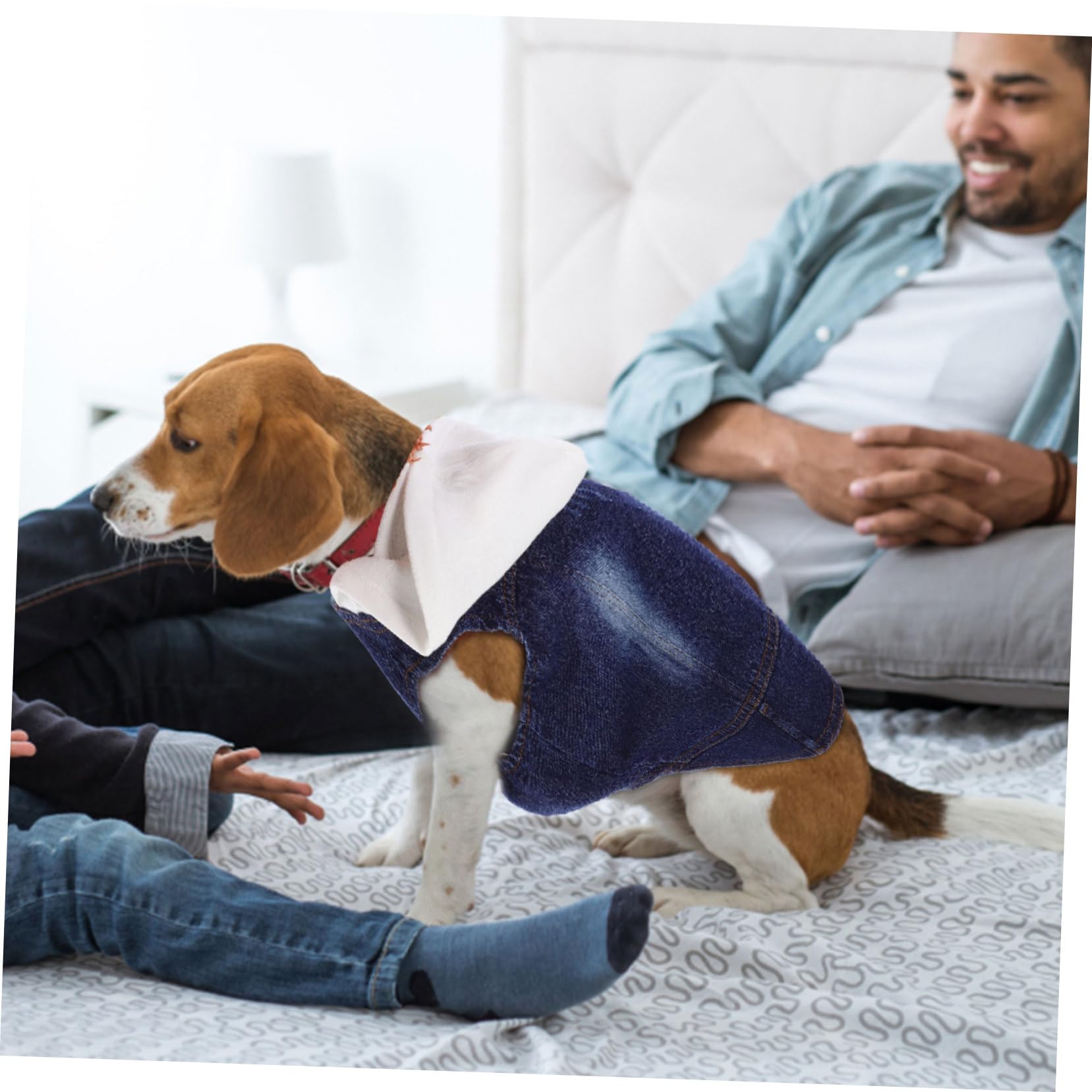 Sosoport Lot De 3 Gilets en Jean pour Chien Et Chat Vêtements pour Animaux De Compagnie Gilet Cool Taille XXL Bonnet Tricoté Fournitures pour Animaux De Compagnie