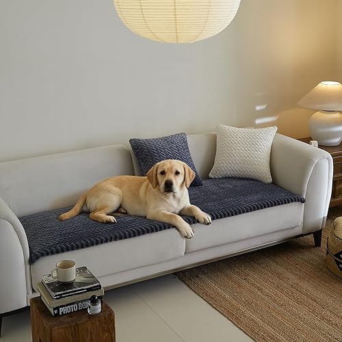 Vista 10 de Fundas de sofá para sofá de 3 cojines, aptas para mascotas, funda de sofá antideslizante lavable Sg-gris claro